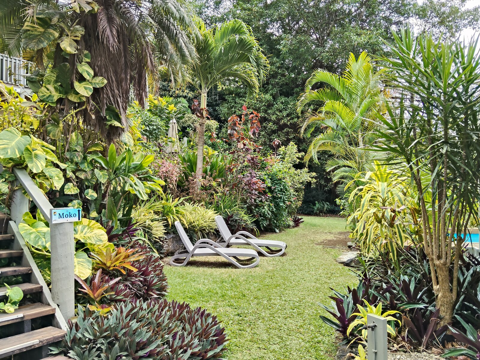 Poolside loungers in the tropical gardens