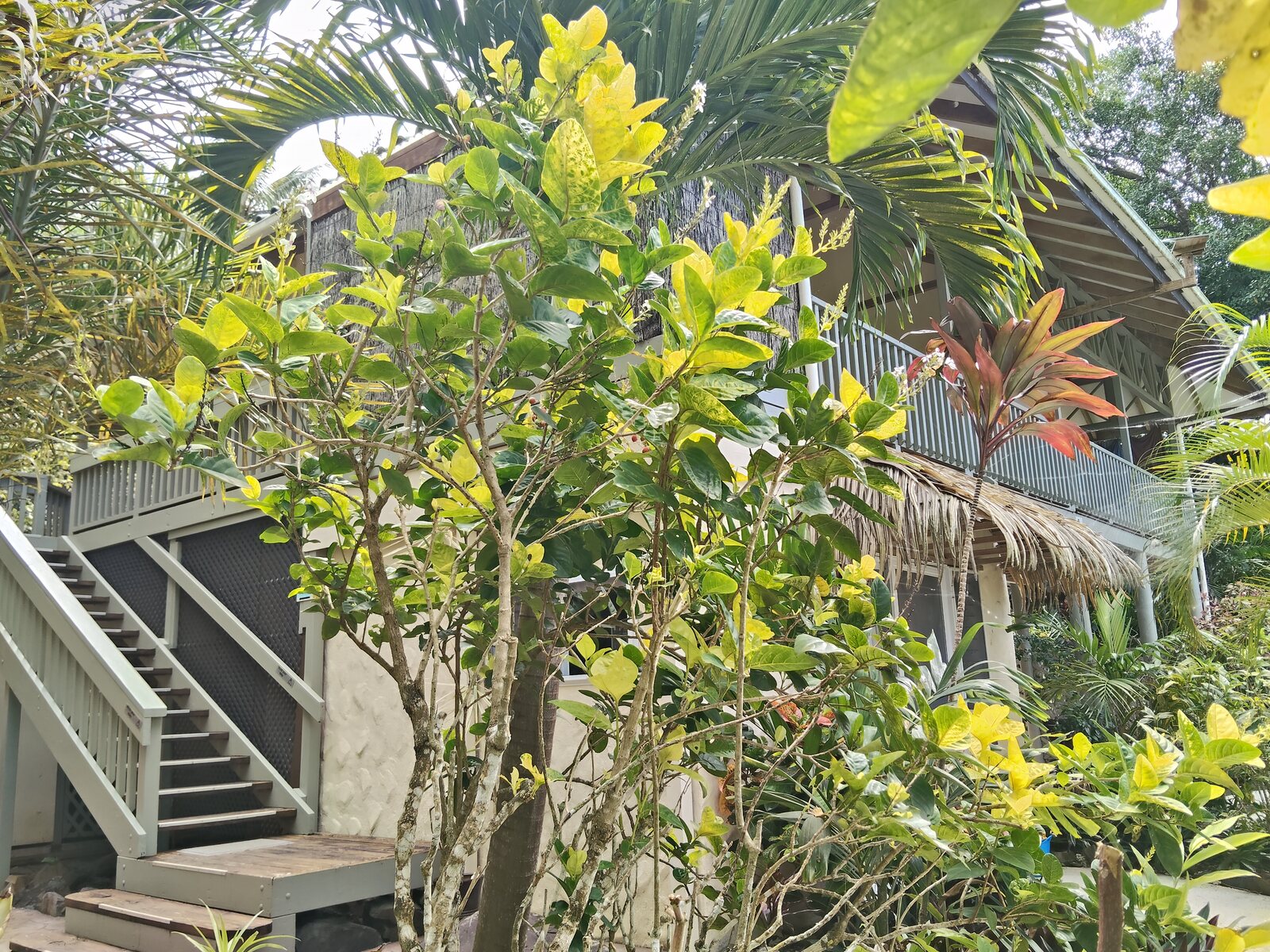 Colourful tropical planting around the apartments