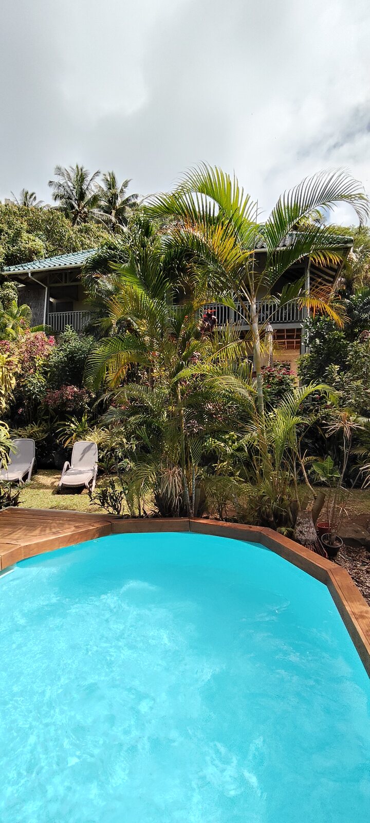 Tropical garden pool with the apartment behind