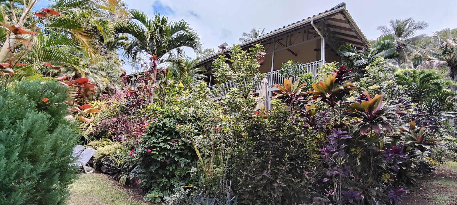 Apartment surrounded by tropical planting