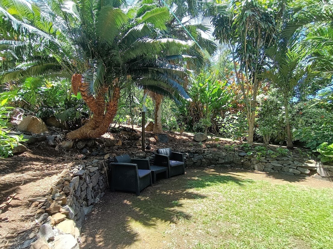 Outdoor chairs in a secluded palm garden at Muri Retreat