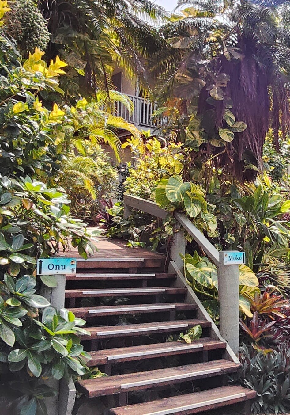 Tropical garden stairway leading to Kaute