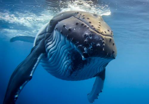 Photo by Charlotte Piho