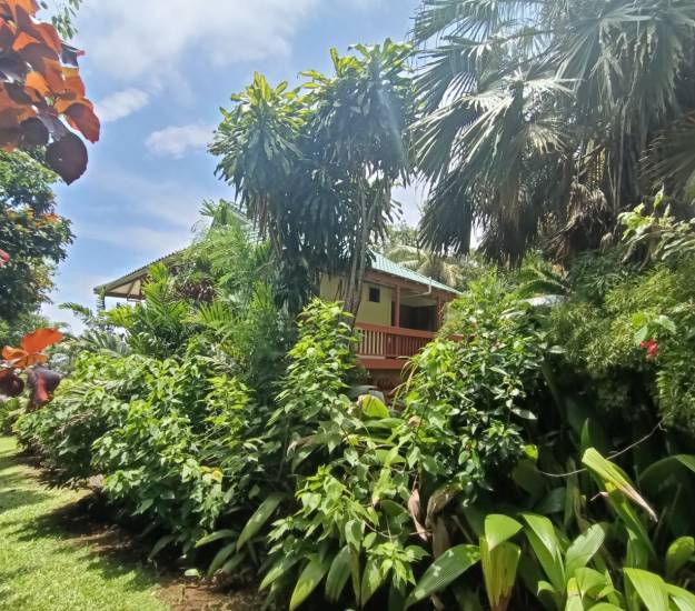 Private Studio with Lagoon View l KUKUPA l Muri Retreat Apartments