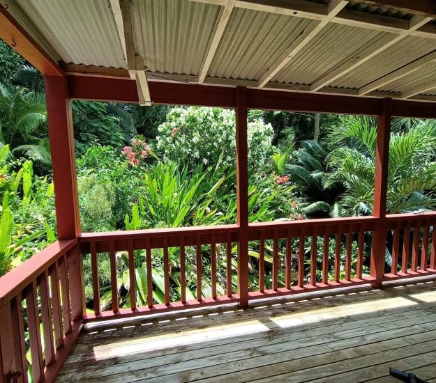 Premier Studio with Lagoon View l KAUTE l Muri Retreat Apartments