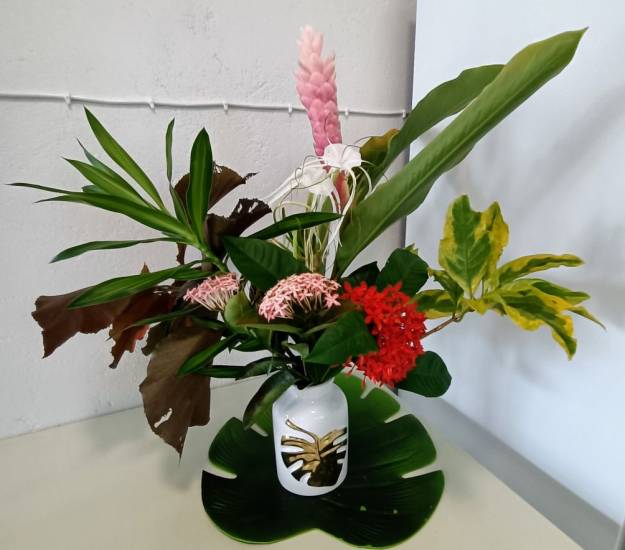 One-Bedroom Apartment l Ground Floor l MOKO l l Muri Retreat