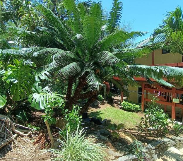 Private Studio with Lagoon View l KUKUPA l Muri Retreat Apartments