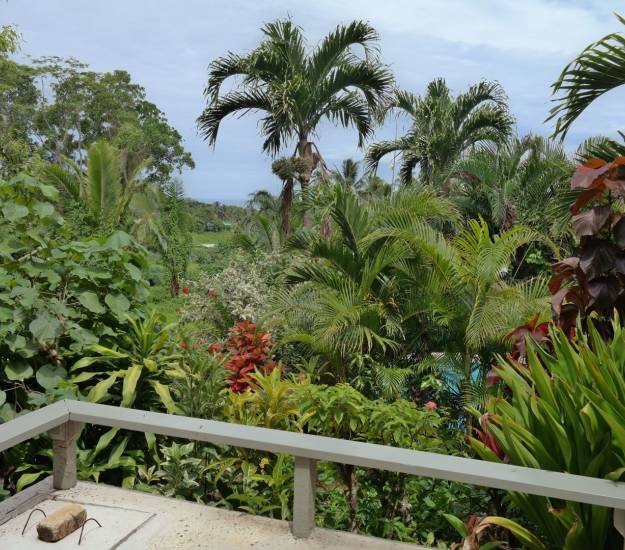 One-Bedroom Apartment l Ground Floor l MOKO l l Muri Retreat